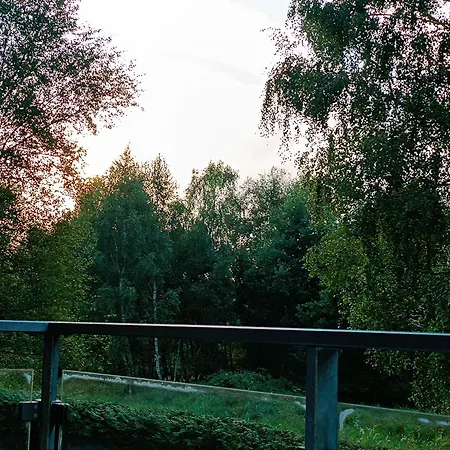 Daire Klonowa 7 *